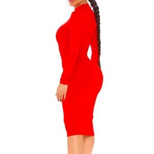 NWT Brand new! never worn ! Red midi dress